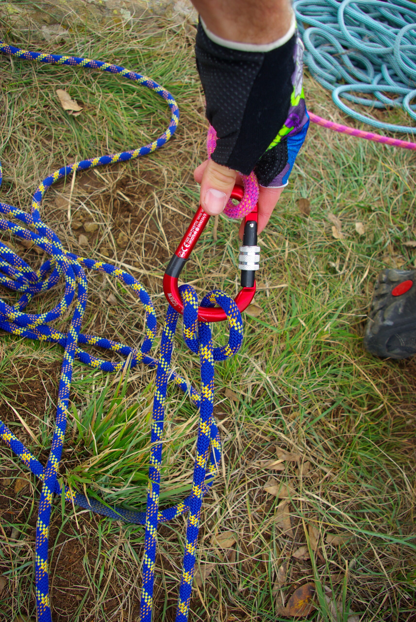Croce Rossa Italiana - Comitato di Arenzano