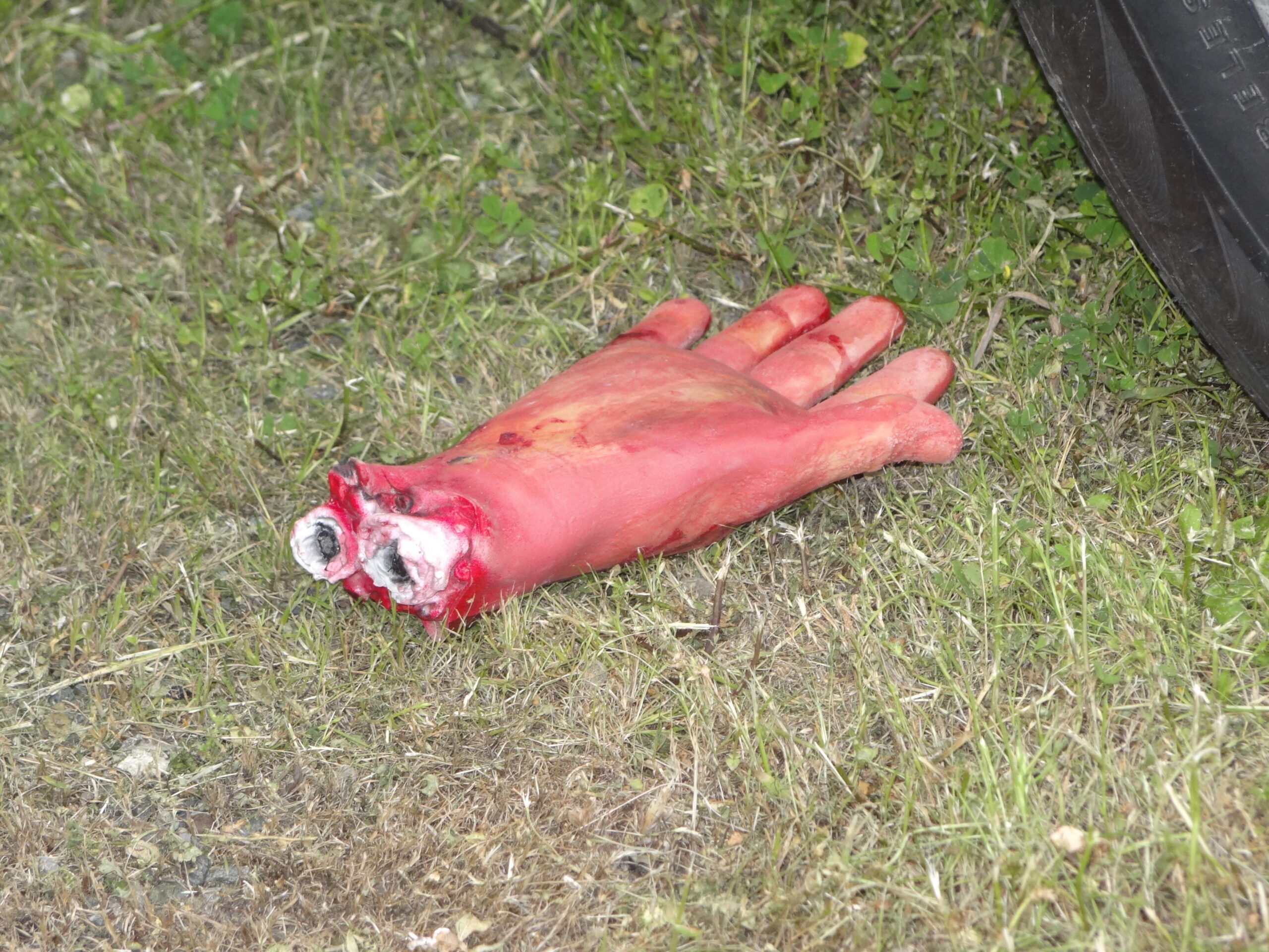 Croce Rossa Italiana - Comitato di Arenzano