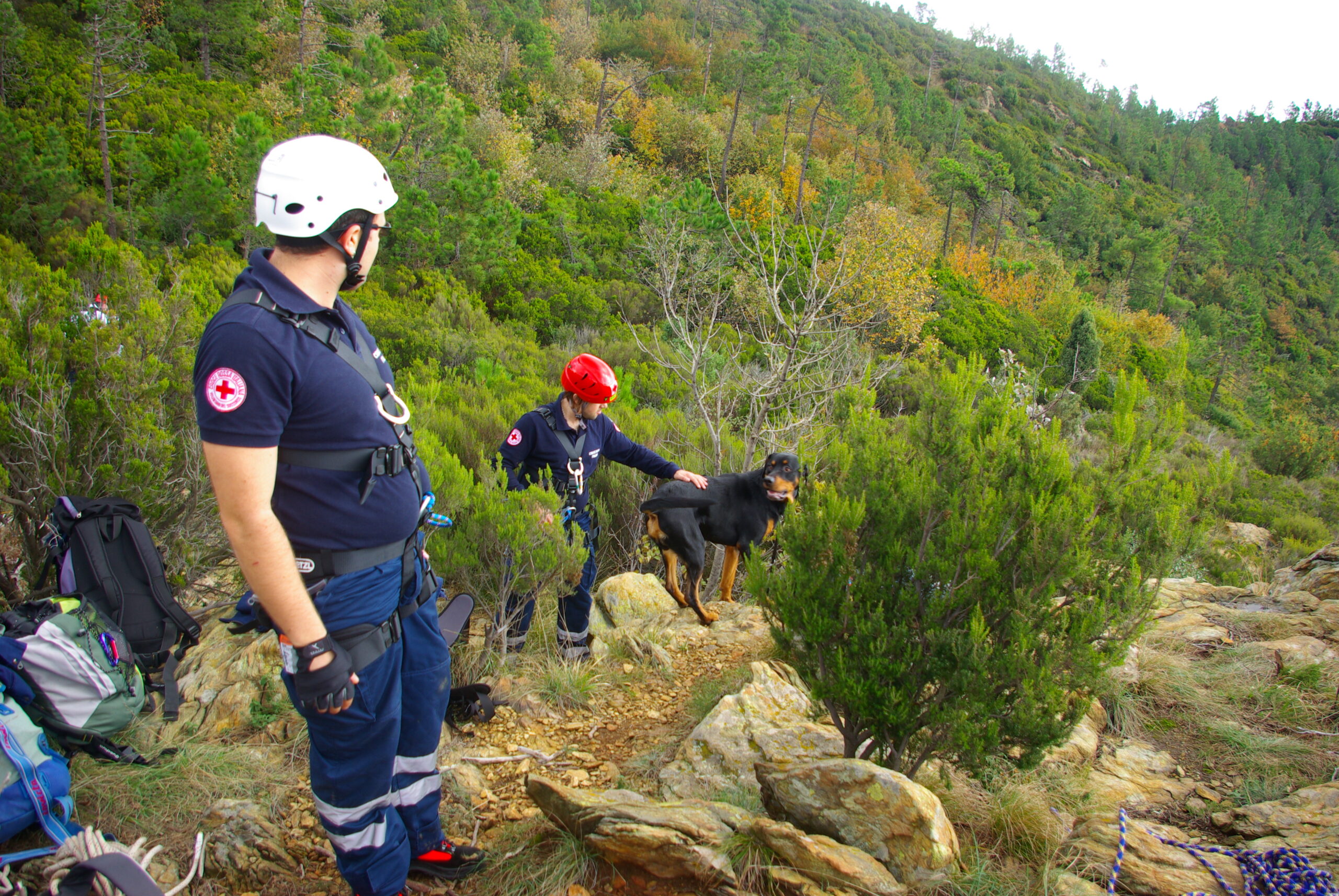 Croce Rossa Italiana - Comitato di Arenzano
