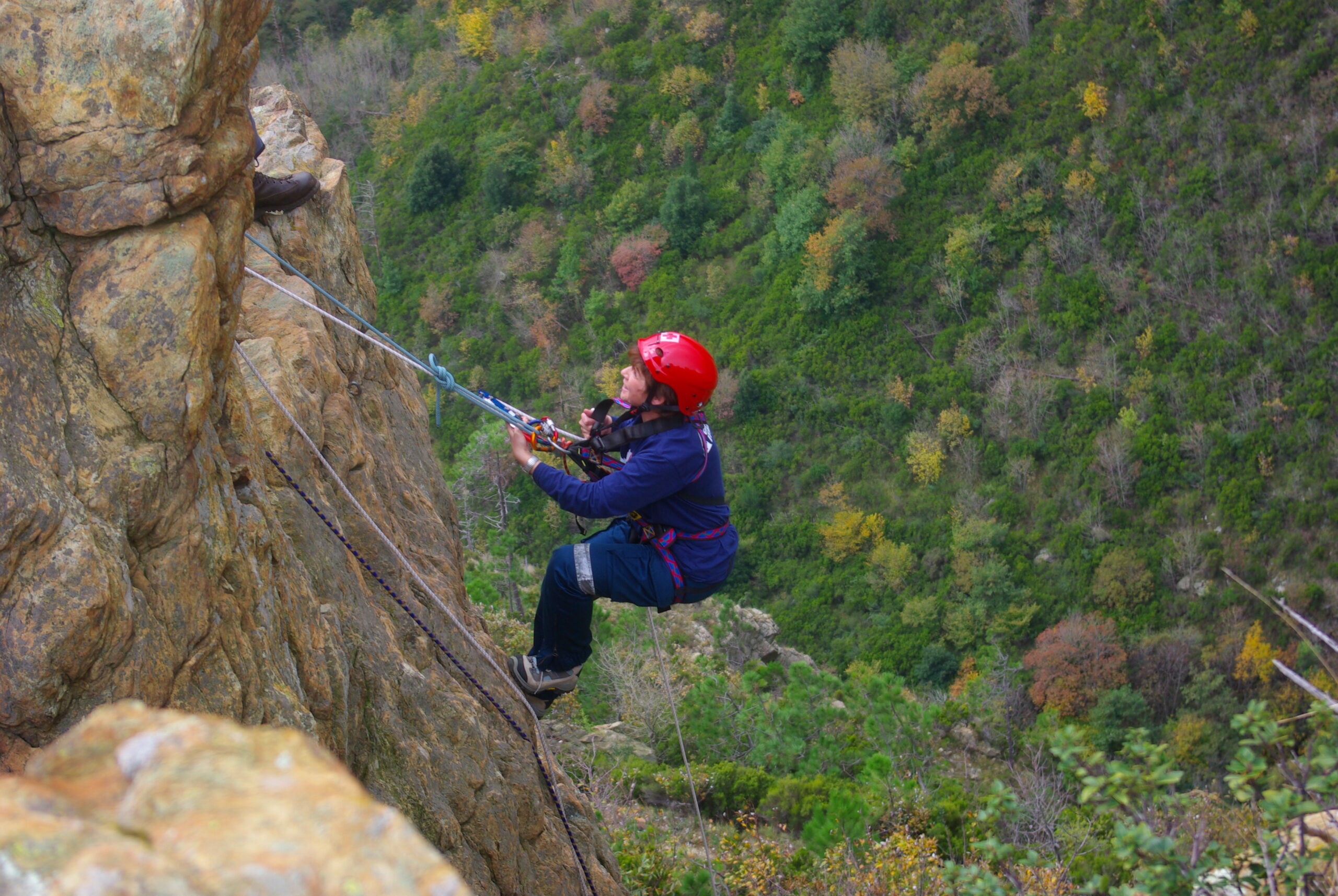 Croce Rossa Italiana - Comitato di Arenzano