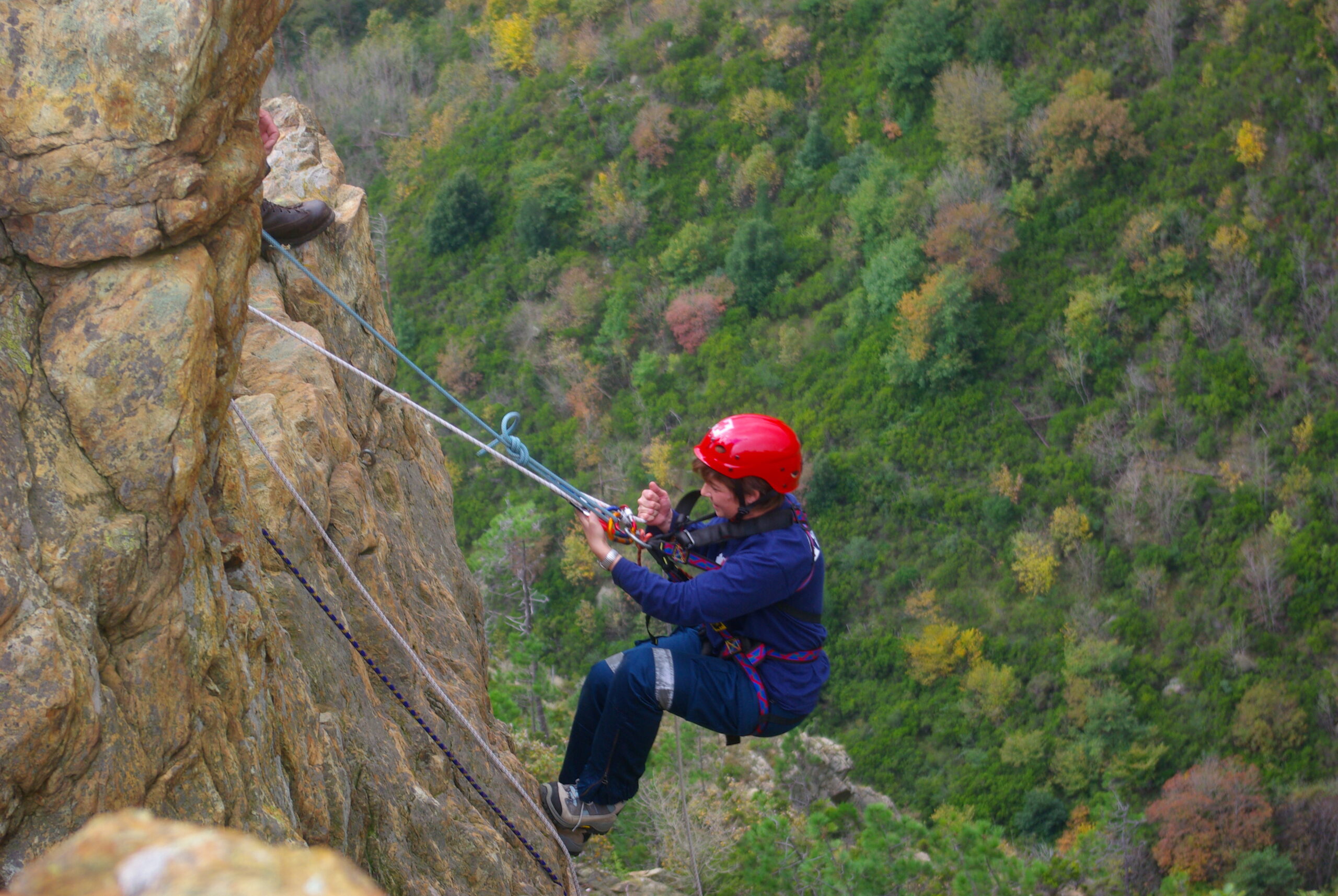 Croce Rossa Italiana - Comitato di Arenzano
