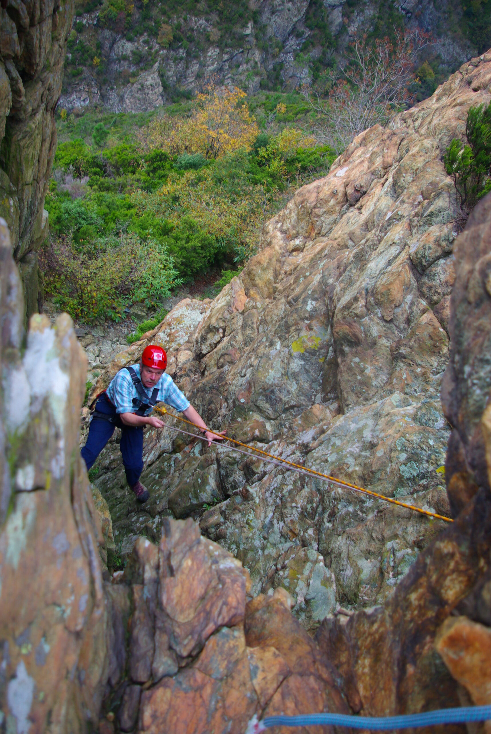 Croce Rossa Italiana - Comitato di Arenzano
