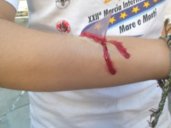 Croce Rossa Italiana - Comitato di Arenzano