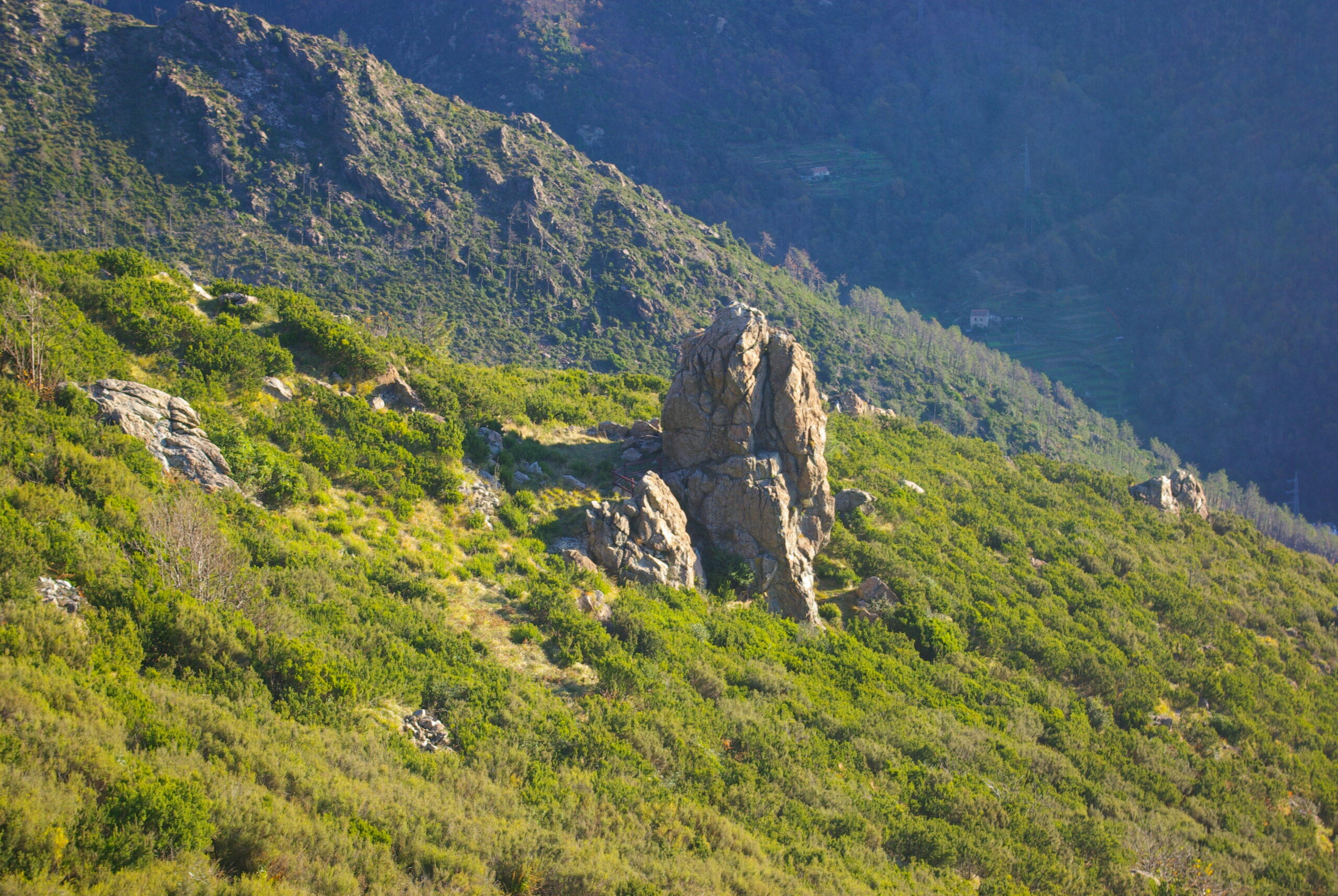 Croce Rossa Italiana - Comitato di Arenzano