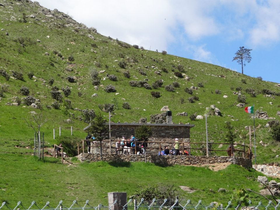 Croce Rossa Italiana - Comitato di Arenzano