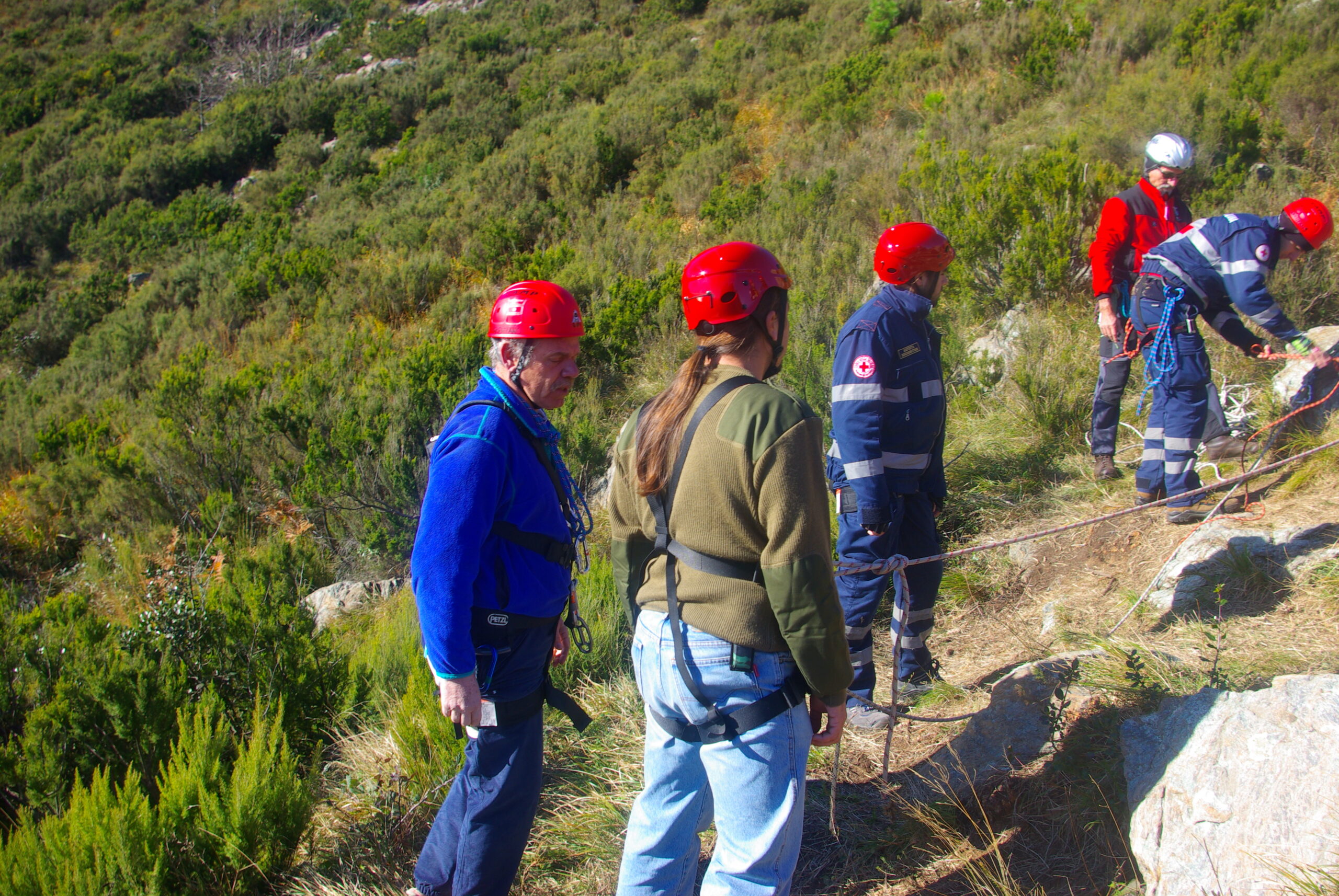 Croce Rossa Italiana - Comitato di Arenzano