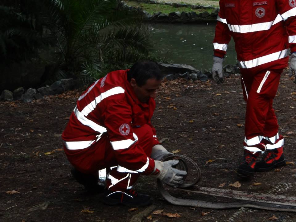 Croce Rossa Italiana - Comitato di Arenzano
