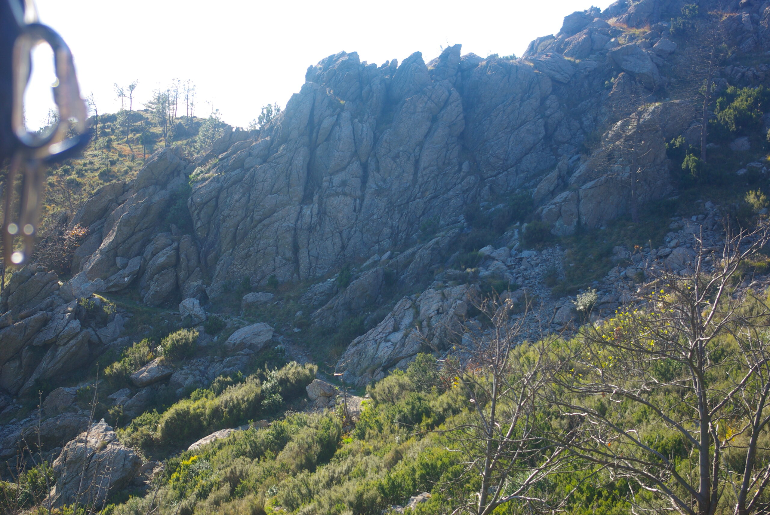 Croce Rossa Italiana - Comitato di Arenzano