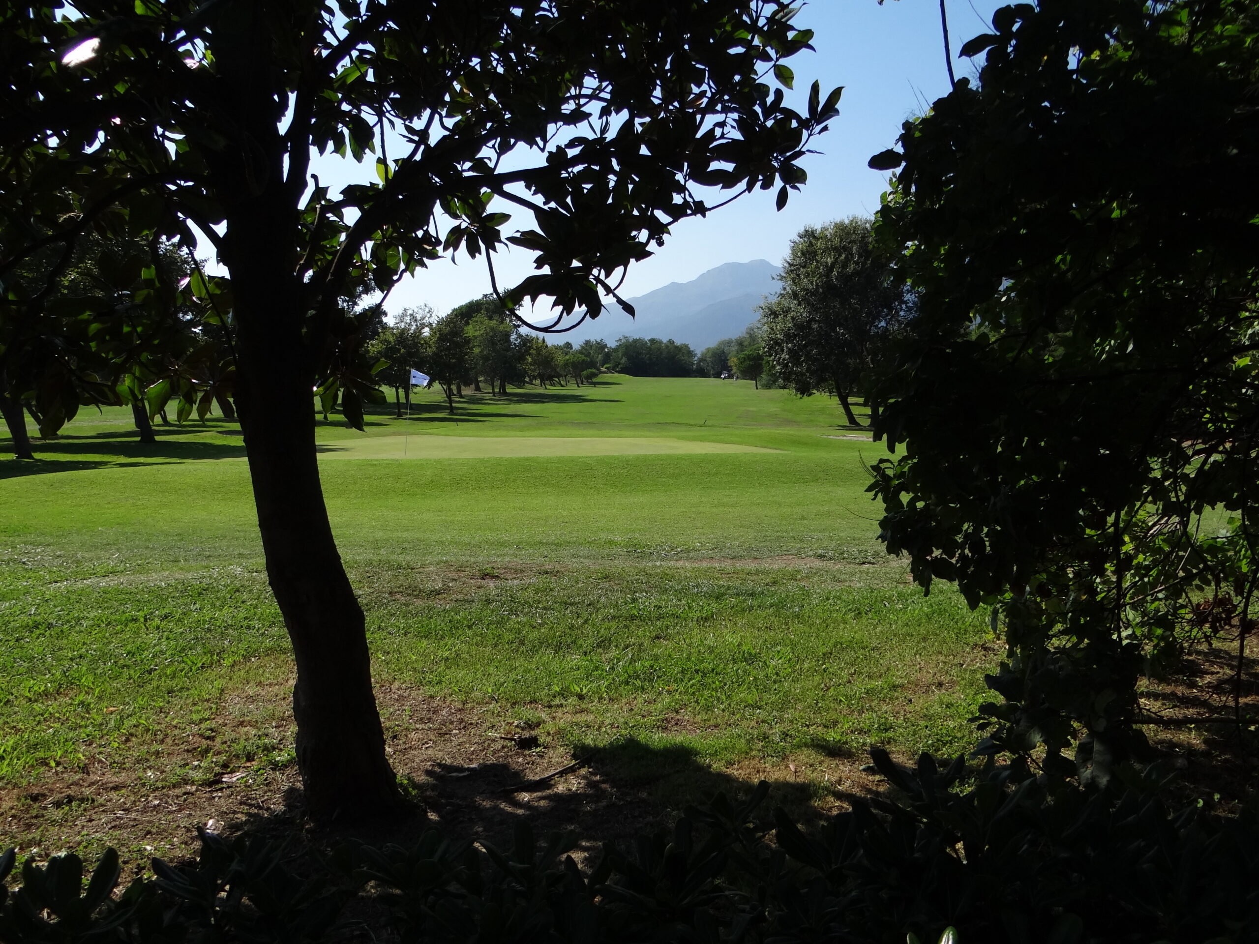 Croce Rossa Italiana - Comitato di Arenzano