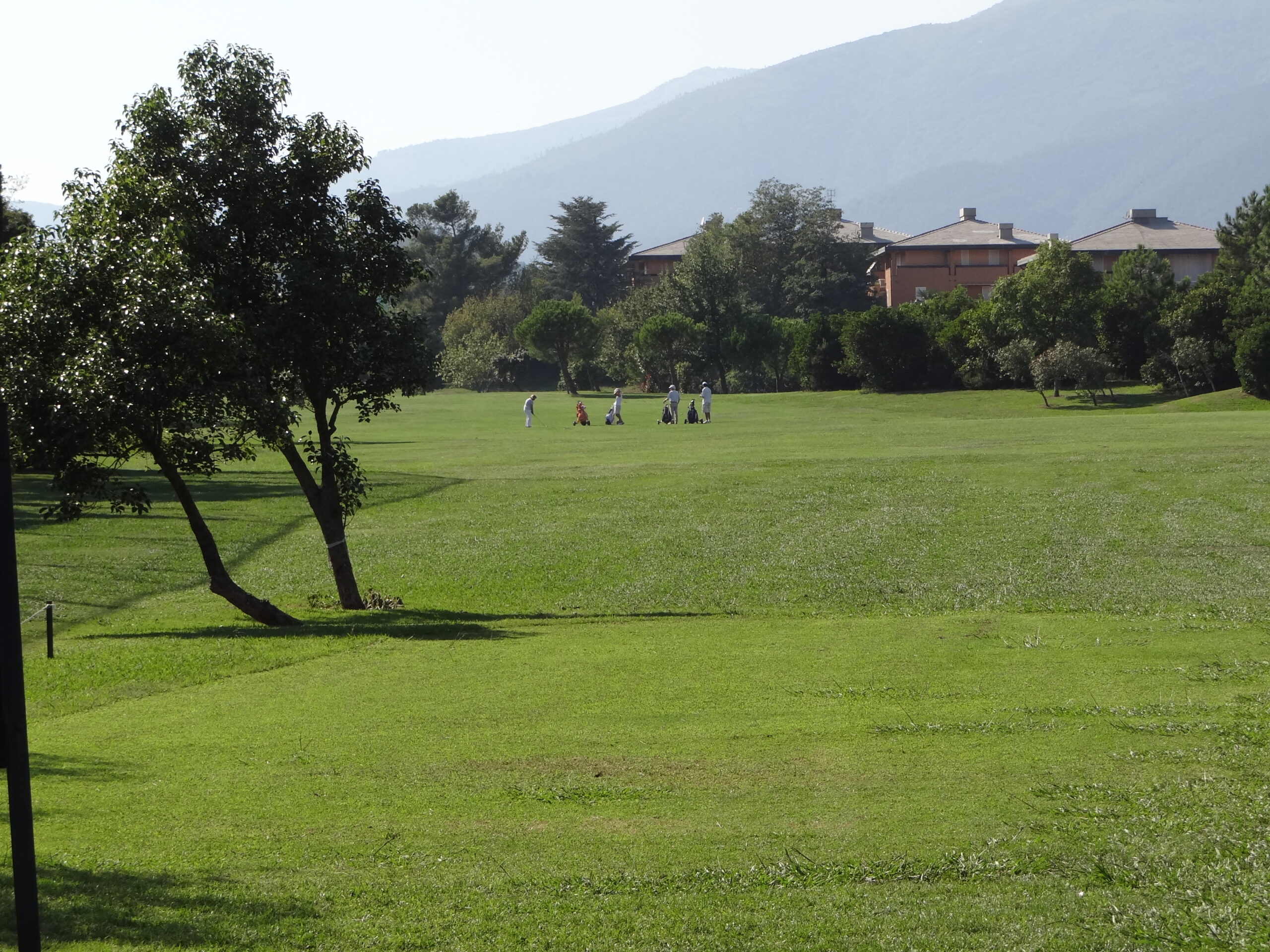 Croce Rossa Italiana - Comitato di Arenzano