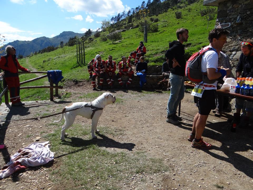 Croce Rossa Italiana - Comitato di Arenzano
