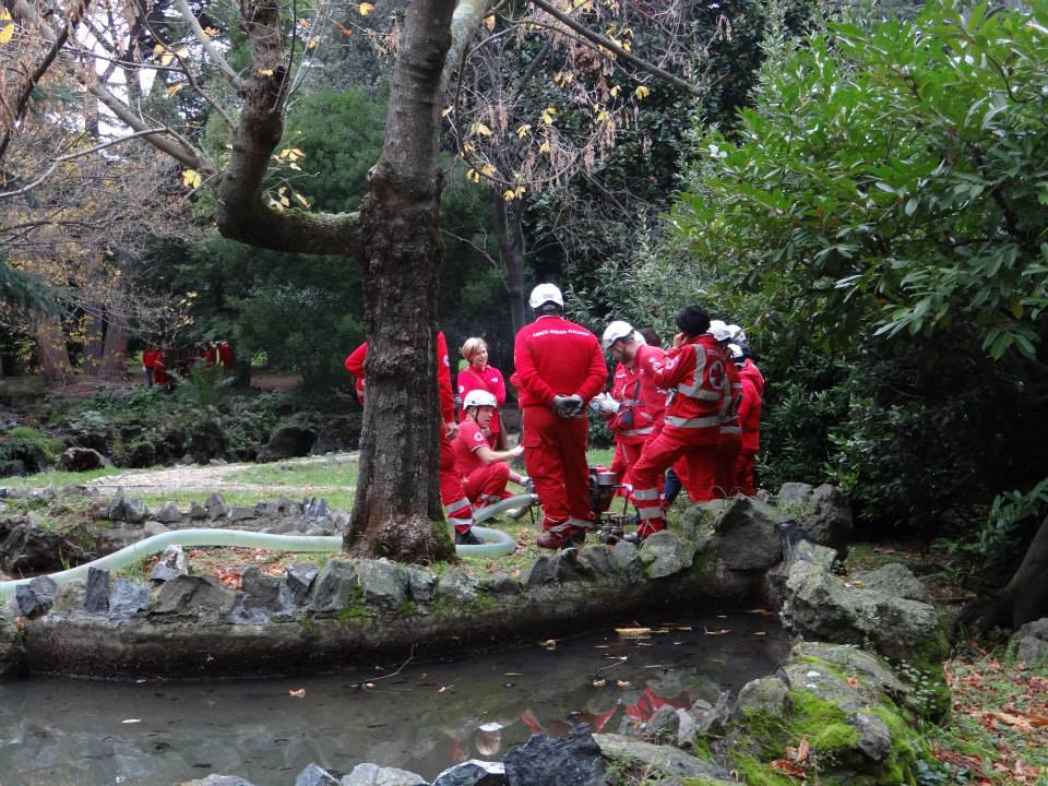 Croce Rossa Italiana - Comitato di Arenzano