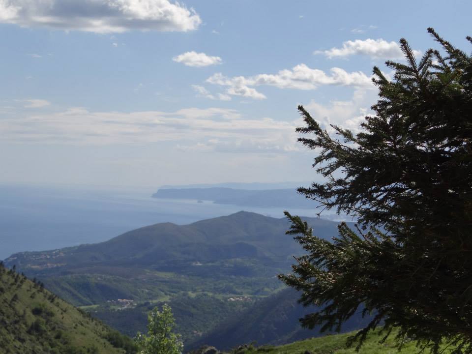 Croce Rossa Italiana - Comitato di Arenzano