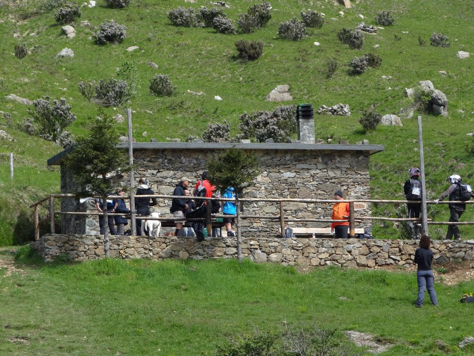Croce Rossa Italiana - Comitato di Arenzano