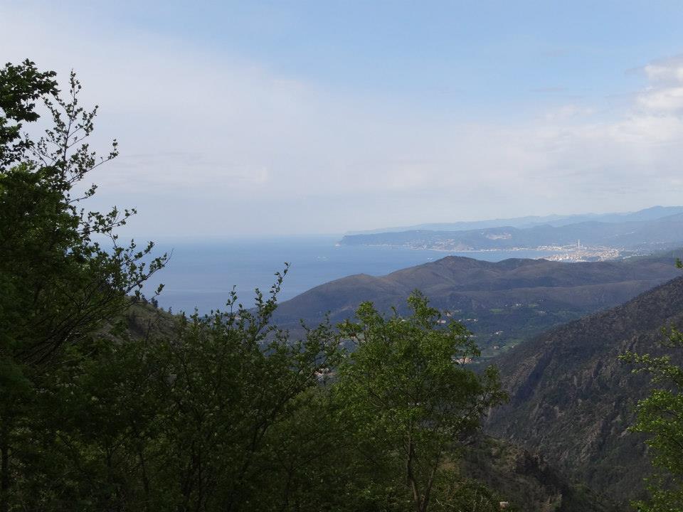Croce Rossa Italiana - Comitato di Arenzano