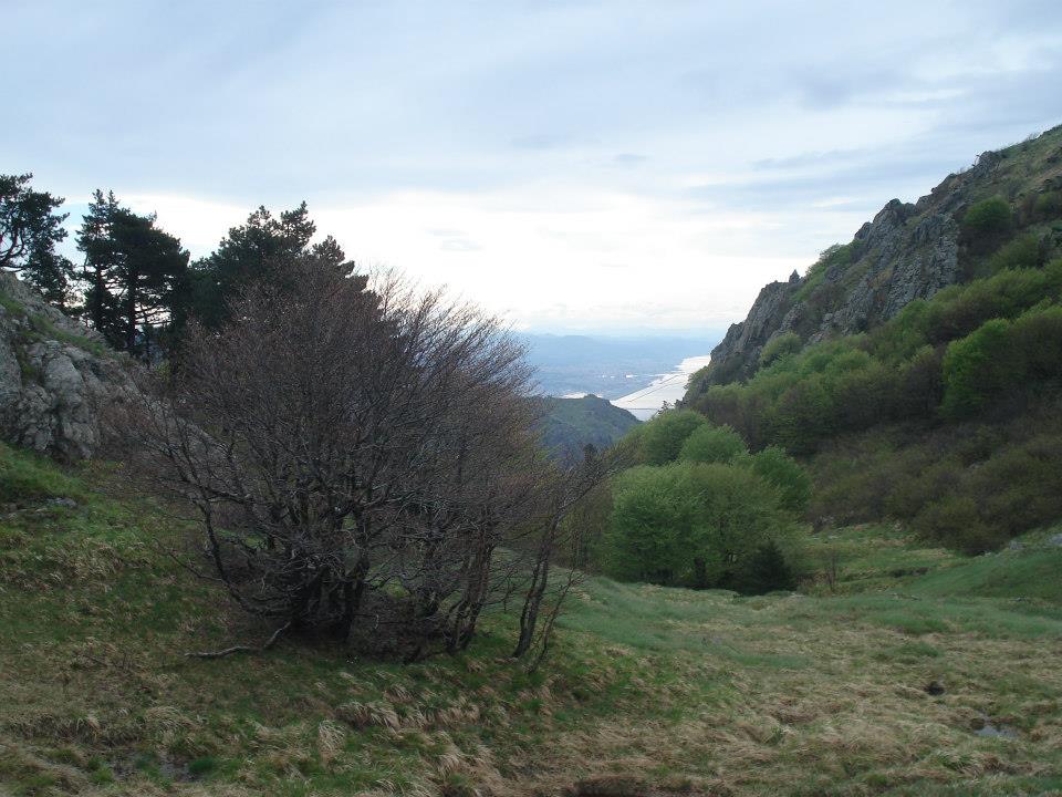 Croce Rossa Italiana - Comitato di Arenzano