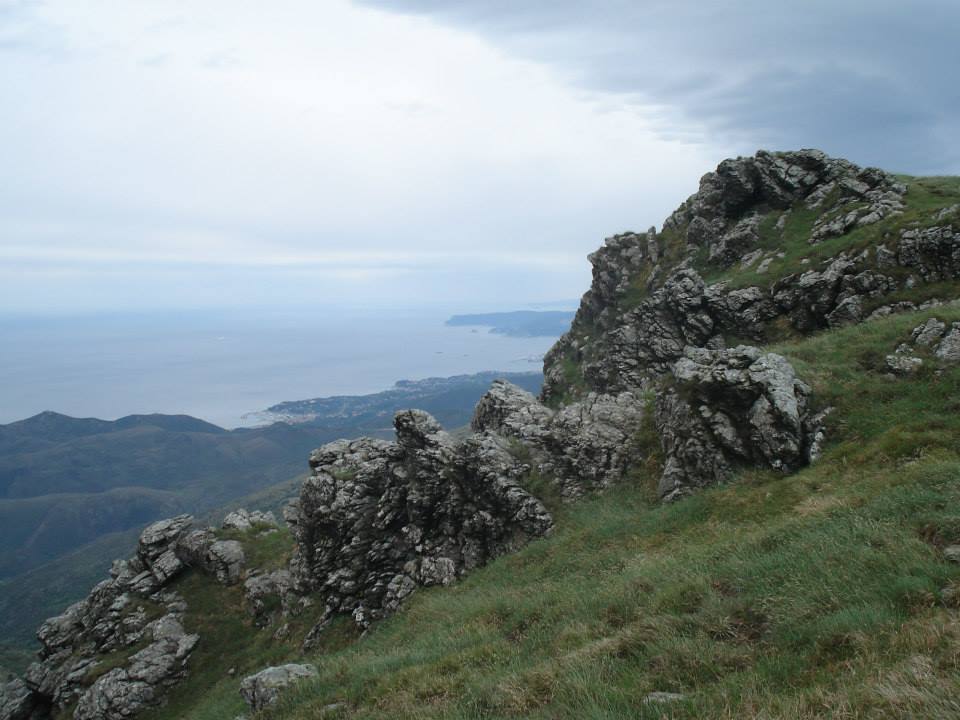 Croce Rossa Italiana - Comitato di Arenzano